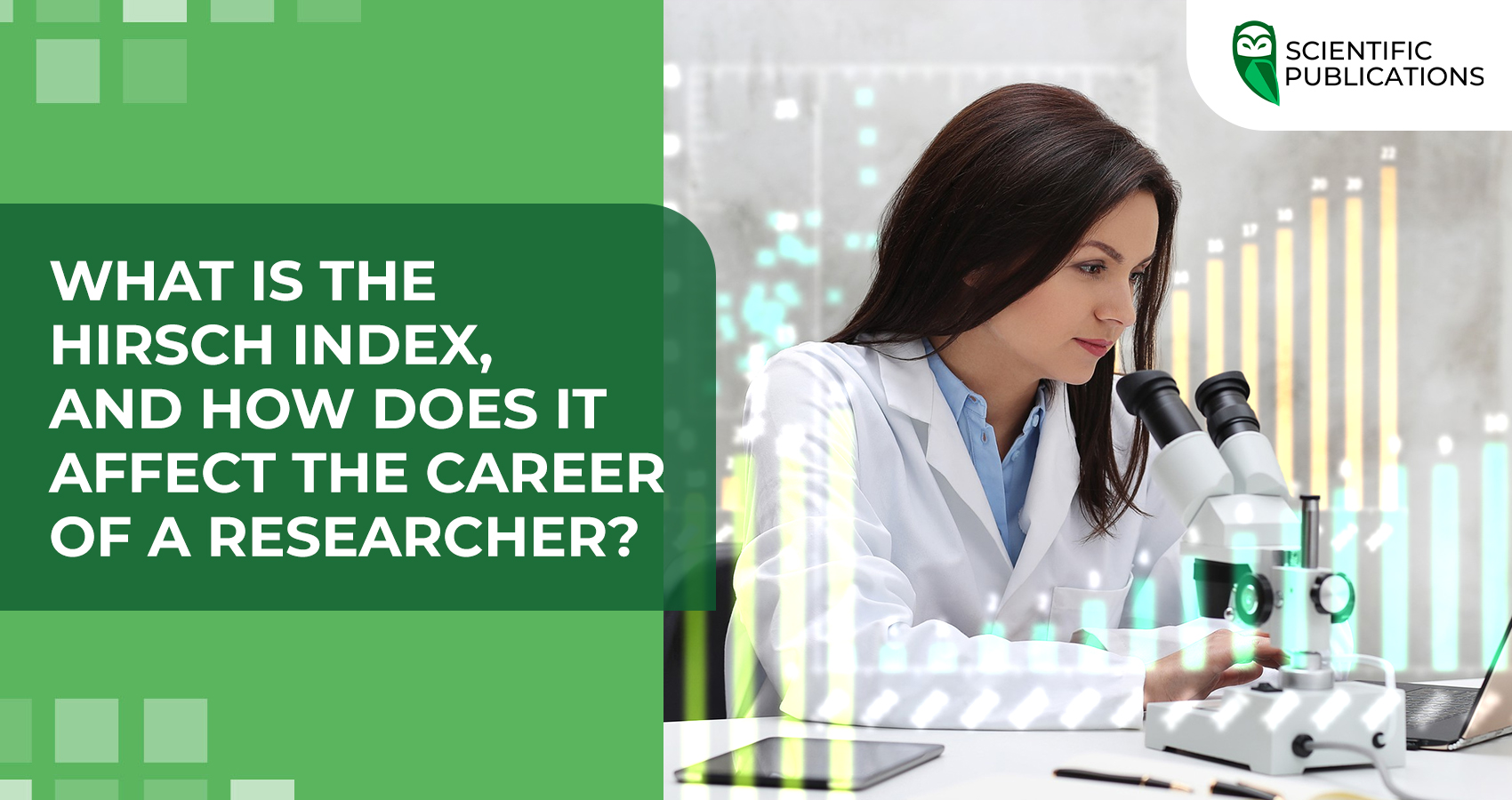 What is the Hirsch Index, and how does it affect the career of a researcher?