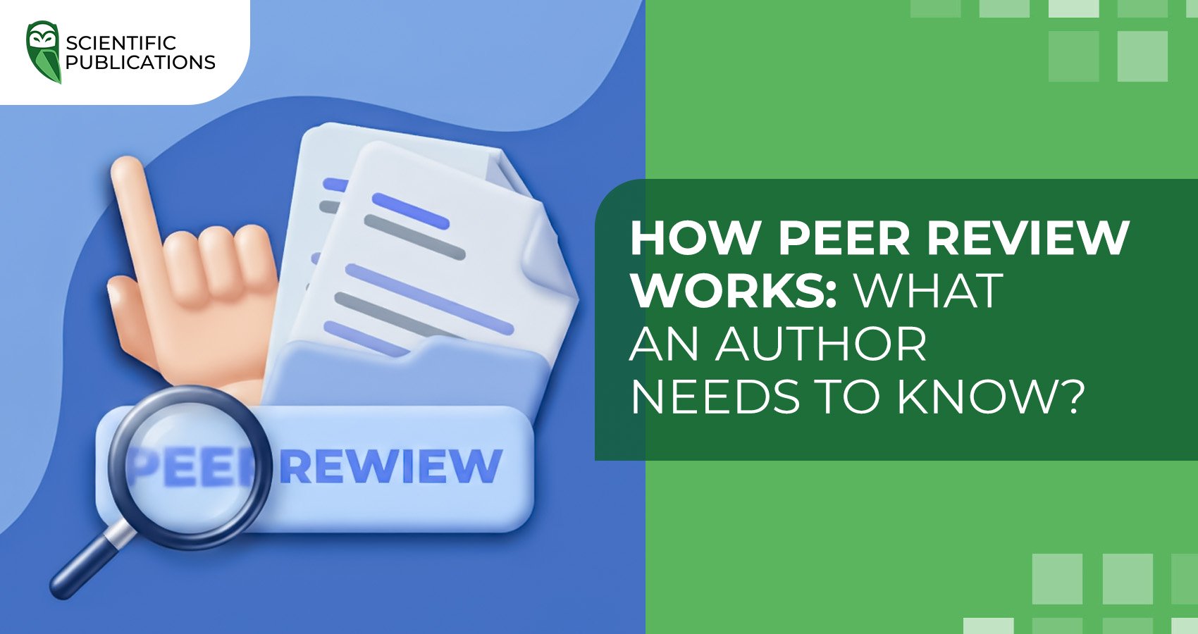 How peer review works: what an author needs to know