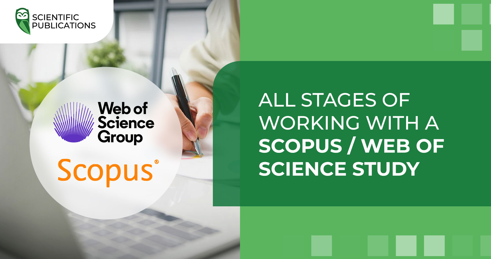 All stages of working with a Scopus / Web of Science study 