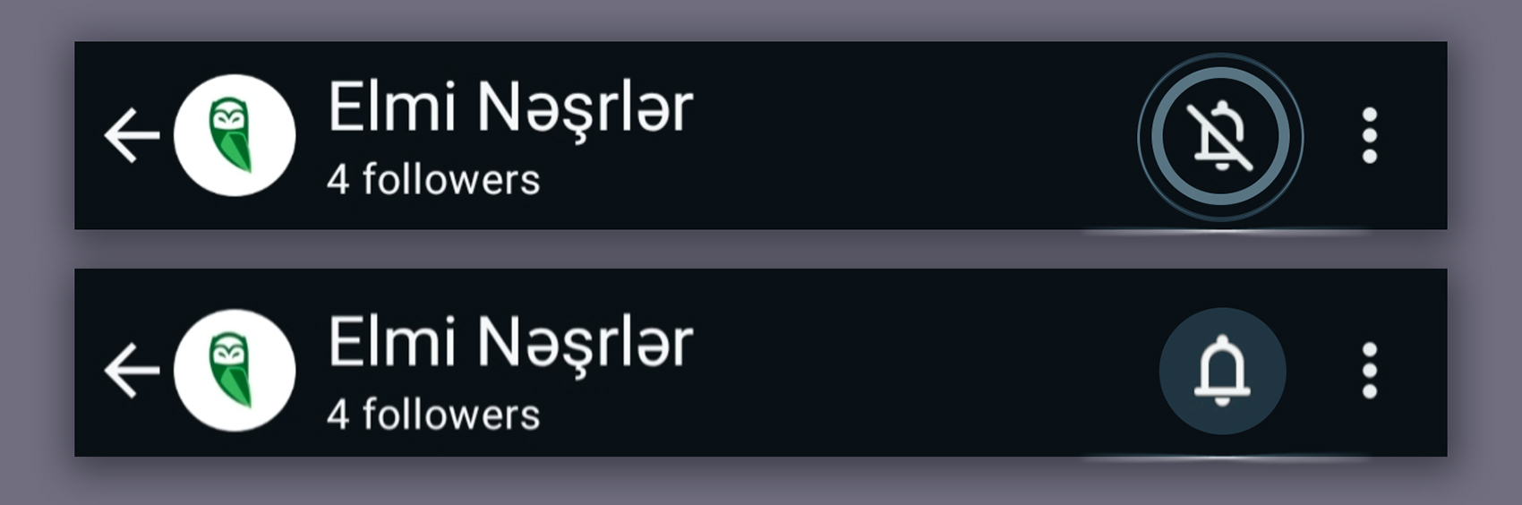 Scientific Publications has launched a WhatsApp channel: unique offers in one click